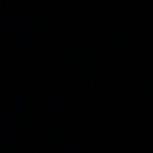 Meet your Posher, Ava